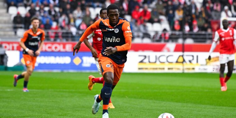Montpellier – Portrait : Birama Touré, l’aigle venu de loin